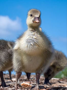 線上娛樂城遊戲