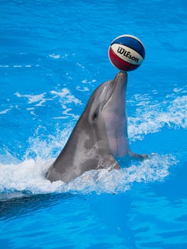 線上娛樂城遊戲