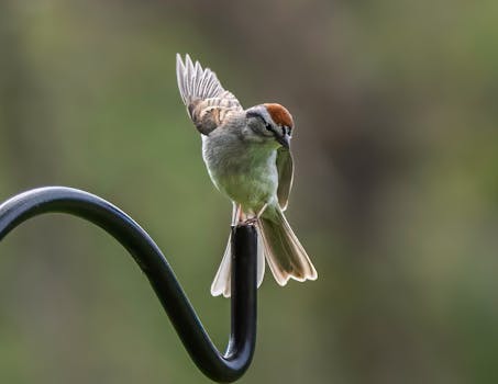 線上娛樂城遊戲