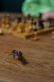 線上娛樂城遊戲