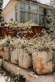 線上娛樂城遊戲