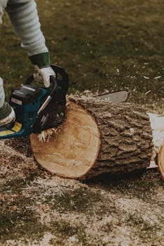 線上娛樂城遊戲