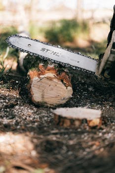 線上娛樂城遊戲