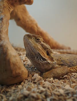 線上娛樂城遊戲