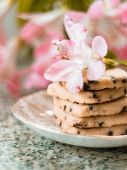 線上娛樂城遊戲