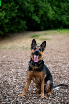 線上娛樂城遊戲