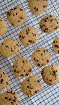 線上娛樂城遊戲