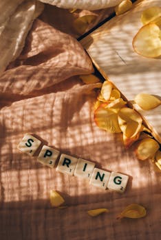 線上娛樂城遊戲