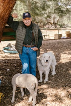 線上娛樂城遊戲