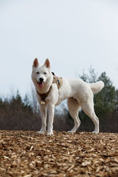 線上娛樂城遊戲