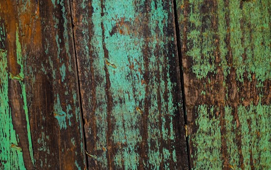 線上娛樂城遊戲