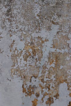 線上娛樂城遊戲