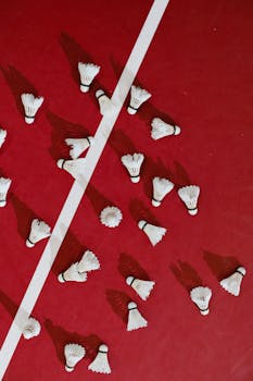 線上娛樂城遊戲