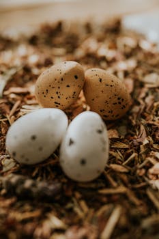 線上娛樂城遊戲