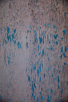 線上娛樂城遊戲