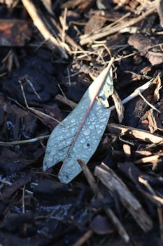 線上娛樂城遊戲