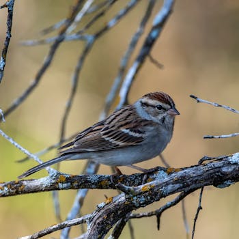 線上娛樂城遊戲