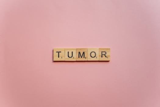 線上娛樂城遊戲