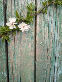 線上娛樂城遊戲