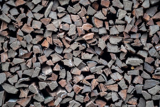 線上娛樂城遊戲