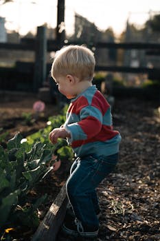 線上娛樂城遊戲