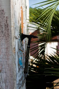 線上娛樂城遊戲