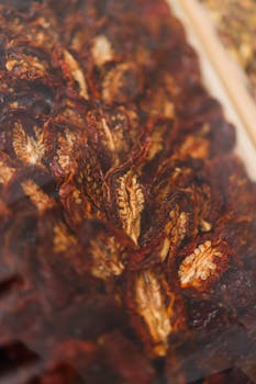 線上娛樂城遊戲