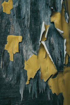 線上娛樂城遊戲