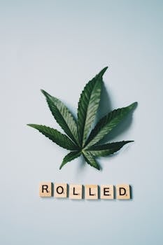 線上娛樂城遊戲