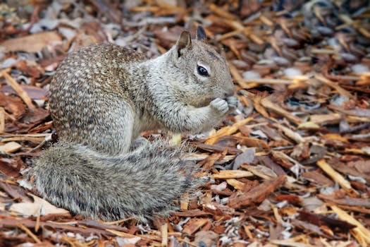 線上娛樂城遊戲