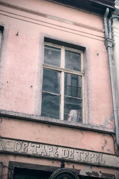 線上娛樂城遊戲