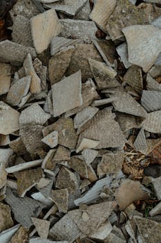 線上娛樂城遊戲