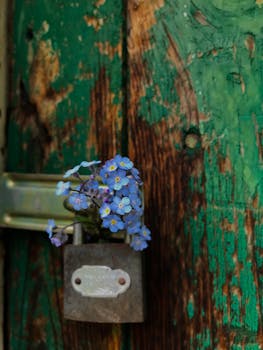 線上娛樂城遊戲