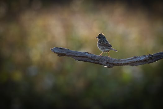 線上娛樂城遊戲