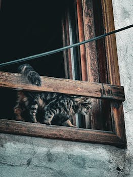 線上娛樂城遊戲