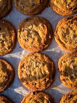 線上娛樂城遊戲