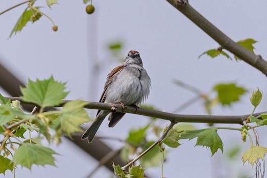 線上娛樂城遊戲