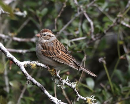 線上娛樂城遊戲