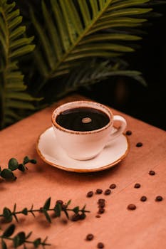 線上娛樂城遊戲