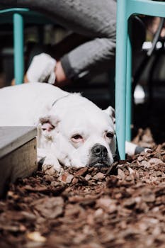 線上娛樂城遊戲