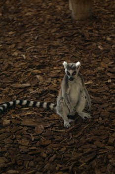 線上娛樂城遊戲