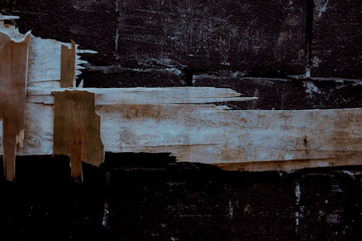 線上娛樂城遊戲