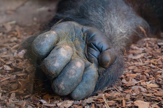 線上娛樂城遊戲