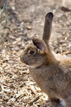 線上娛樂城遊戲