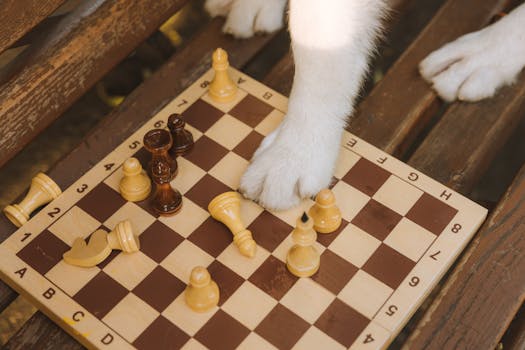 線上娛樂城遊戲