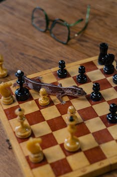 線上娛樂城遊戲