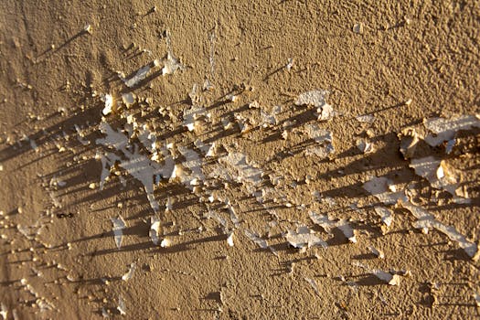 線上娛樂城遊戲